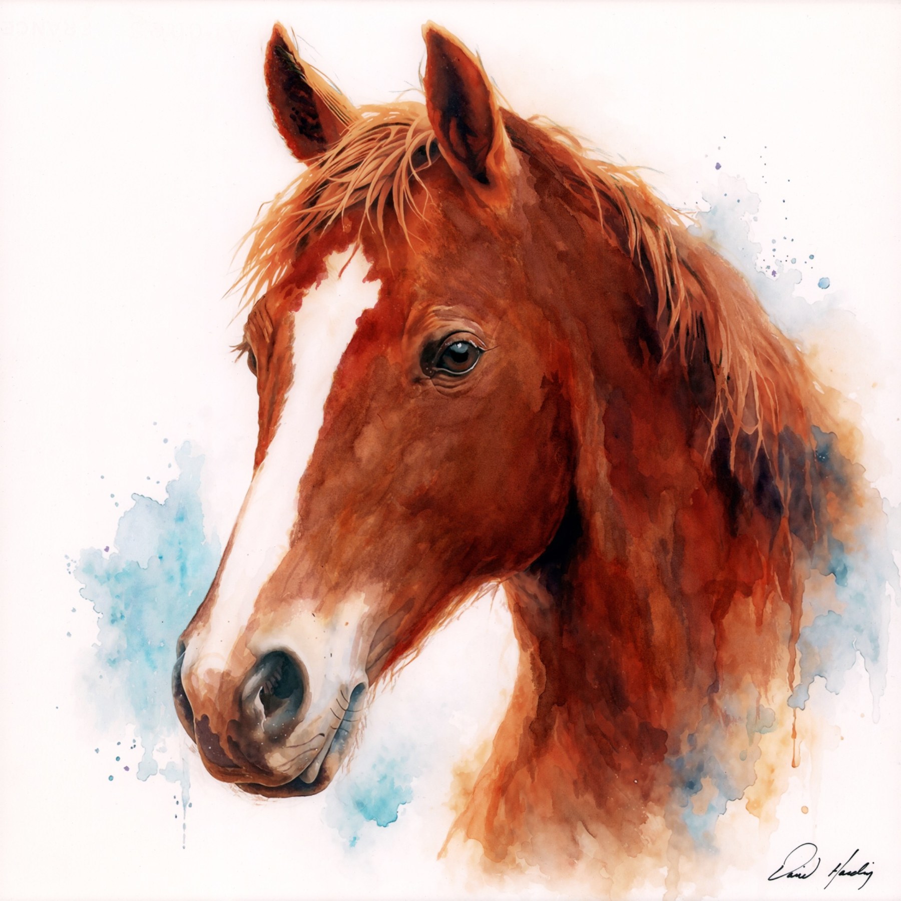 Rainbow Horse watercolor painting by David Harding