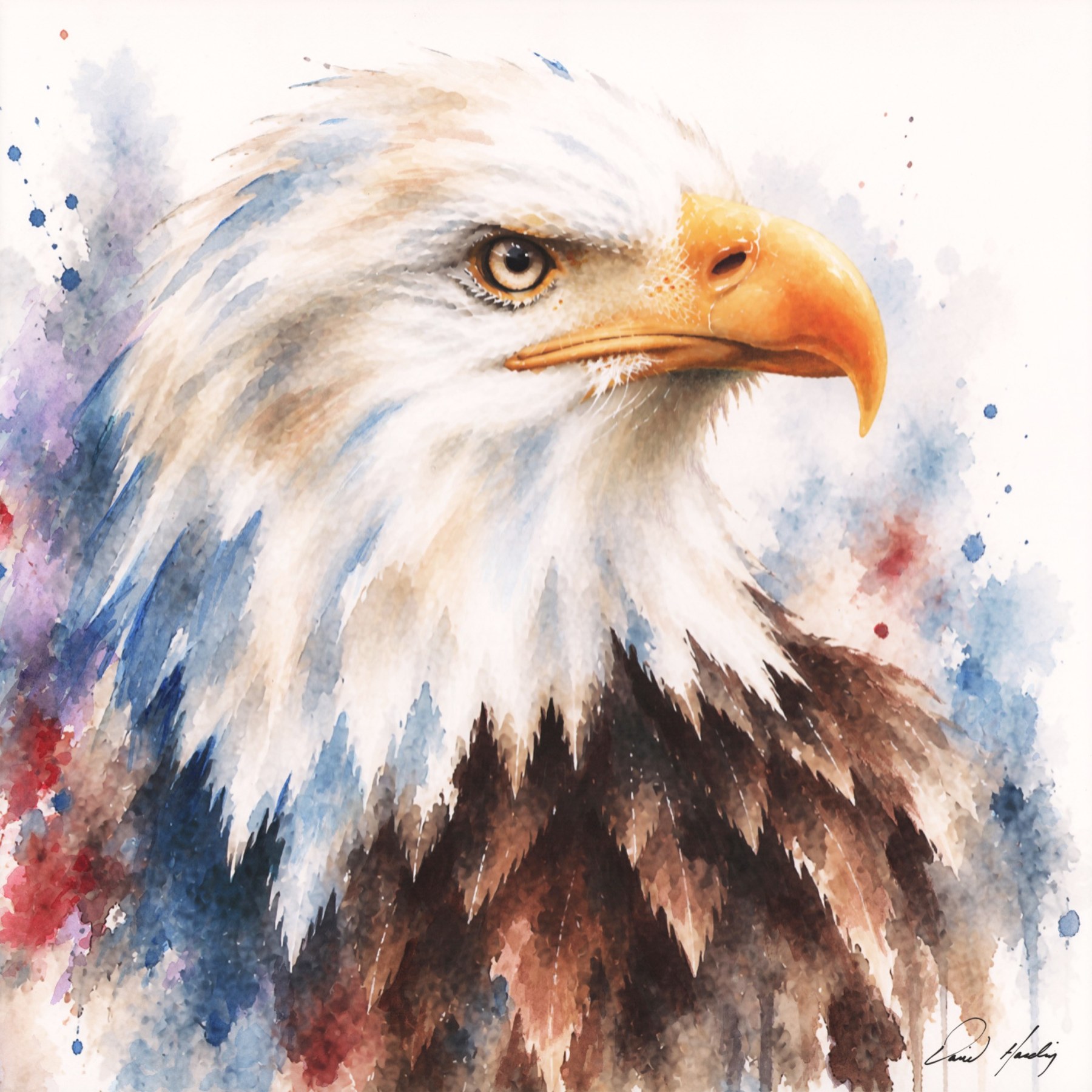Red, White and Blue bald eagle watercolor painting by David Harding