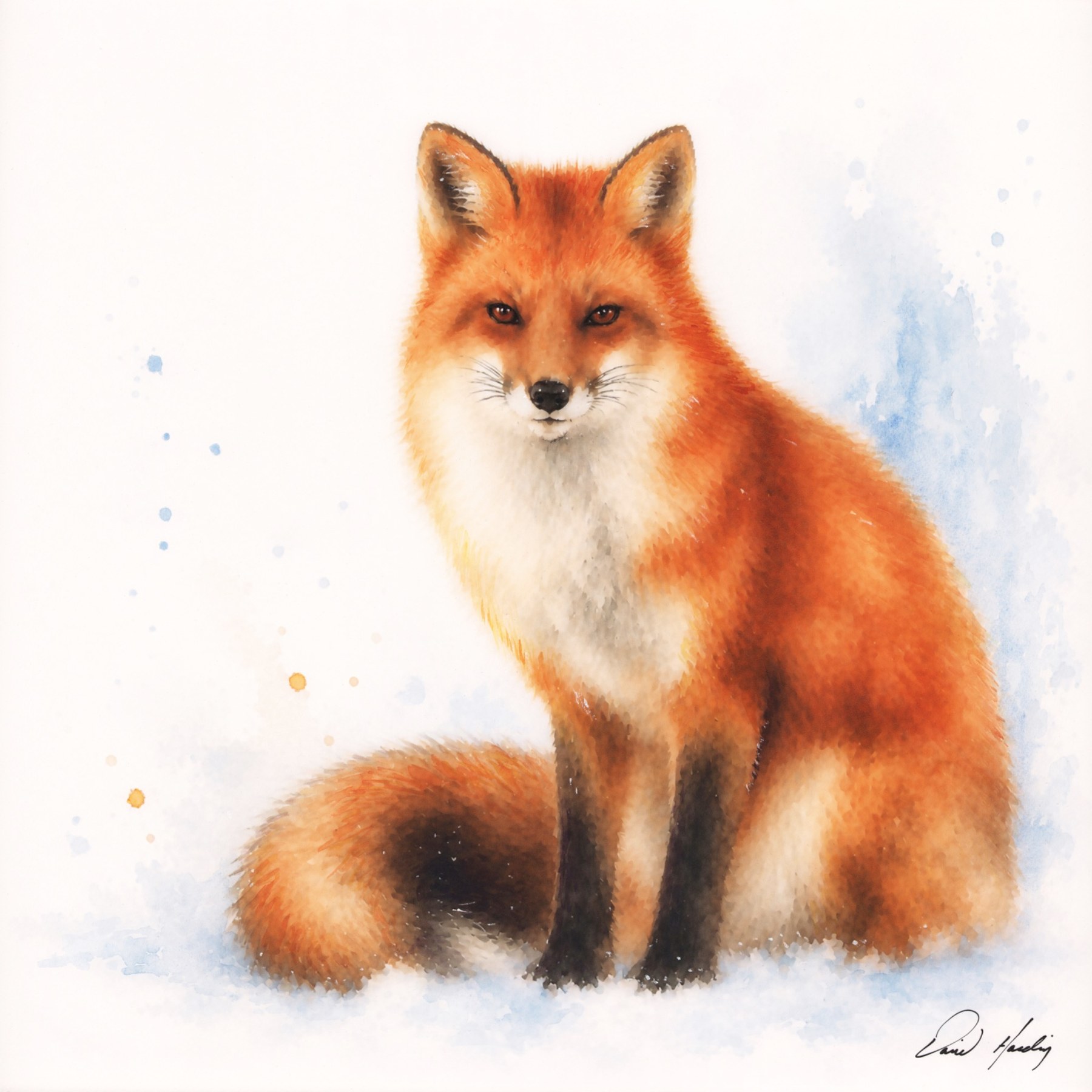 Winter Fox watercolor painting by David Harding